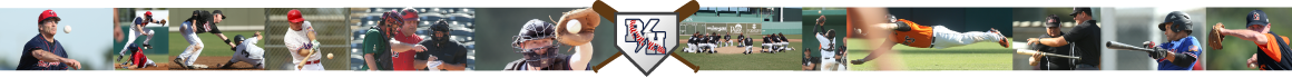 Roy Hobbs Adult Baseball League